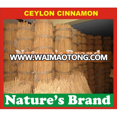 Ceylon Cinnamon -CANELA